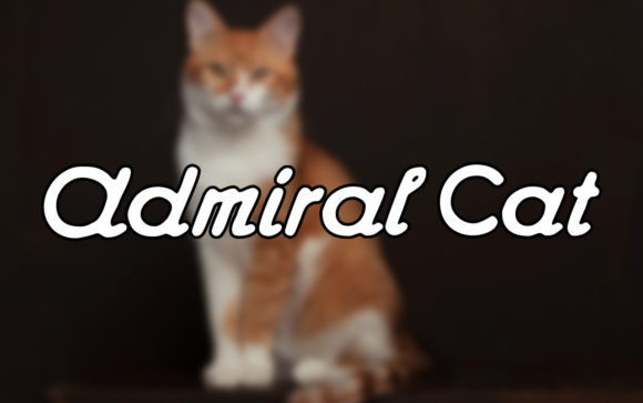 Admiral Cat: A Graceful Handwritten Font for Editorial Charm