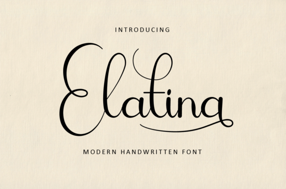 Elatina: A Designer’s Real-World Review for Branding and Visual Projects