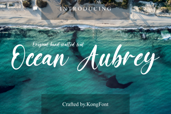 How Ocean Aubrey Brought a Fresh, Polished Vibe to My Branding Projects