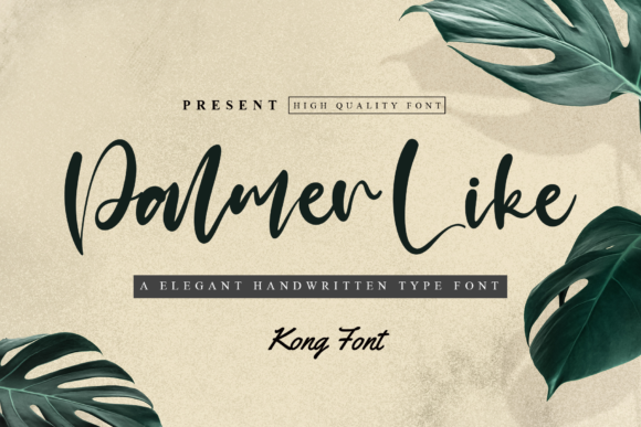 How Palmer Like Font Transformed My Small Business Branding
