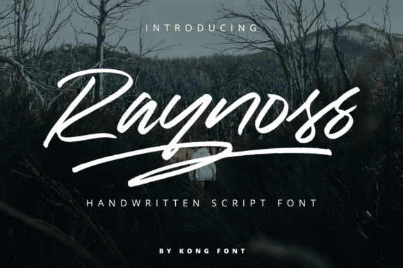 Raynoss Font: A Web Designer’s Story of Choosing a Playful Typeface for Digital Branding