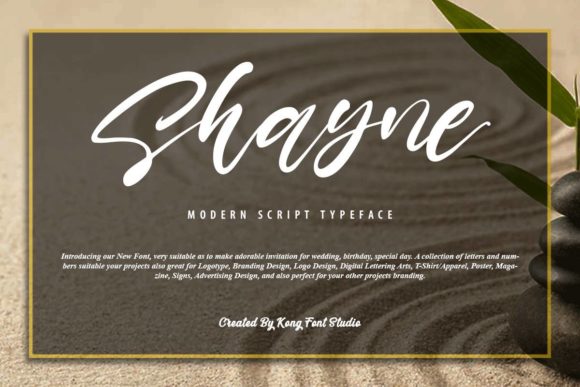 Shayne: A Playful Script Font for Modern Editorial Design